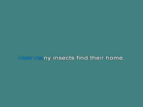 download lagu mp3 mp4 English Country Garden Karaoke, download lagu English Country Garden Karaoke gratis, unduh video klip English Country Garden Karaoke
