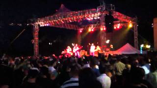 Butterflies and Airplanes - The Clarks