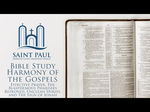 Harmony of the Gospels [Effective Prayer & The Sign of Jonah] | Bible Study (Fr. Matthias Shehad)