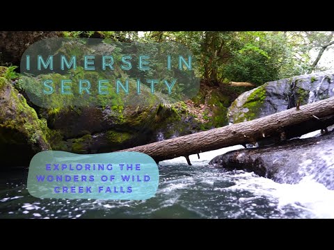 Nature's Hidden Gem: Wild Creek Falls Beltzville State Park #nature #adventure #hiking #naturelovers