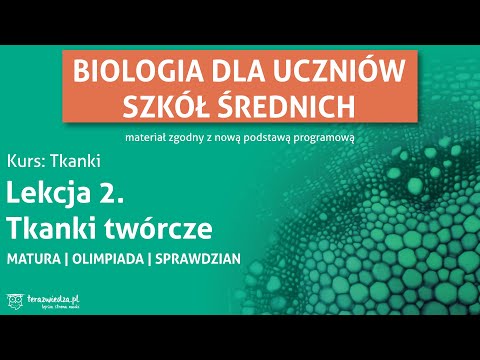 Tkanki twórcze. Lekcja biologii dla klasy 2. (zakres rozszerzony)