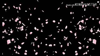 コラボPV