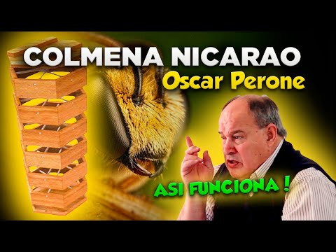 Pt. 9| LA COLMENA QUE CUBRE TODAS LAS NECESIDADES NATURALES DE LAS ABEJAS - Curso de Apicultura 2023