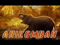 ArikombaN Kerala Trending Arikomban Elephant Kgf Kgf2