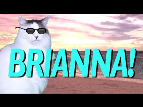 HAPPY BIRTHDAY BRIANNA! - EPIC CAT Happy Birthday Song