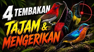 Download lagu MASTERAN SOGON   SEPAH RAJA   KONIN   KOLIBRI WULUNG FULL TEMBAKAN RAPAT SUARA JERNIH mp3
