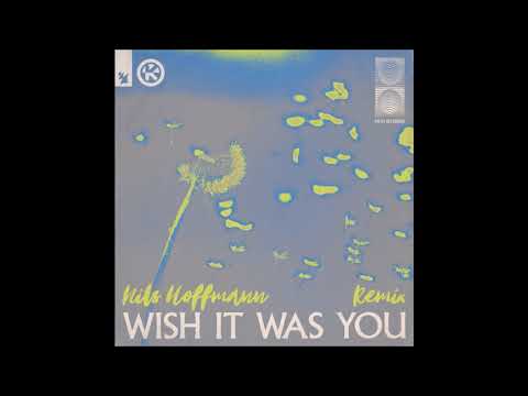 Audien Feat. Cate Downey - Wish It Was You (Nils Hoffman Remix)