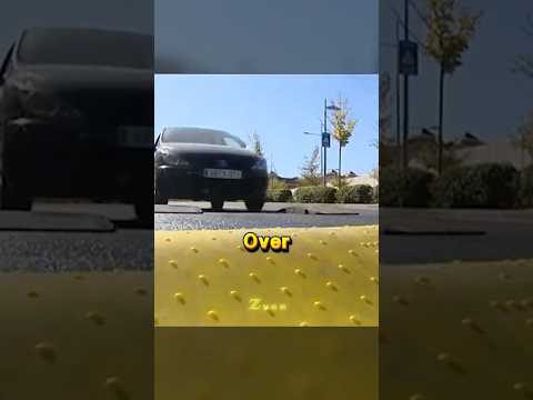 The Most Annoying Thing on Road