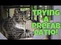Trying A Prefab Catio Unboxing Setup Tour Aivituvin Cat Enclosure Review