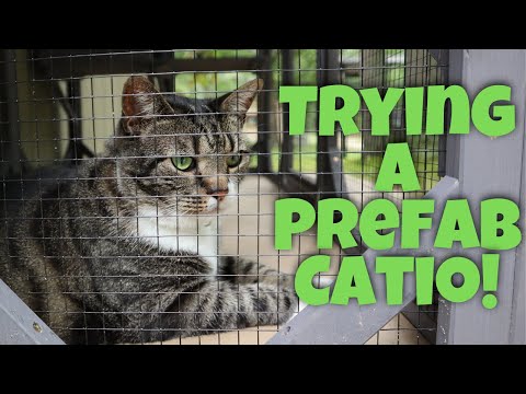 Trying a Prefab Catio - Unboxing, Setup, Tour - Aivituvin Cat Enclosure Review