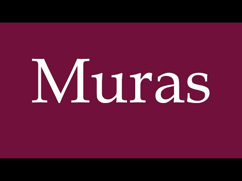 How to Pronounce ''Muras'' Correctly in German
