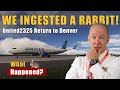 United Airlines 737 Returns to Denver After Rabbit Enters Engine