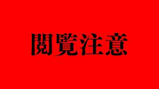 閲覧は自己責任でお願いします。