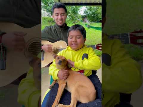 Corriente y Canelo #viral #pedrofernandez