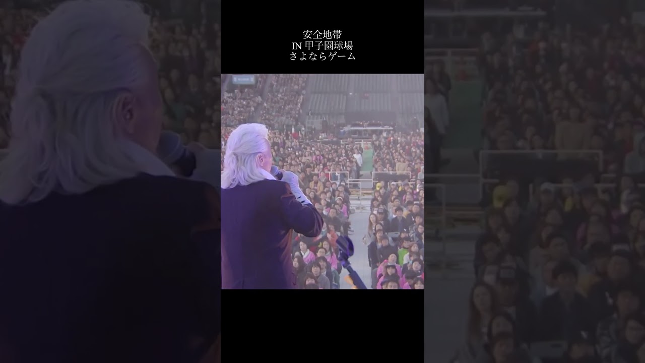 安全地帯「夢のつづき」#music #live #shorts