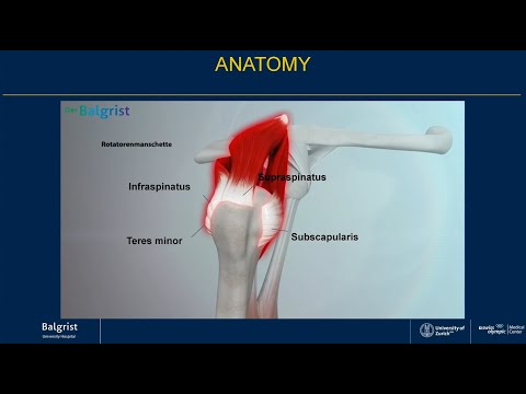 Balgrist explains: Repairable rotator cuff tear | Reparable Rotator Cuff Tear