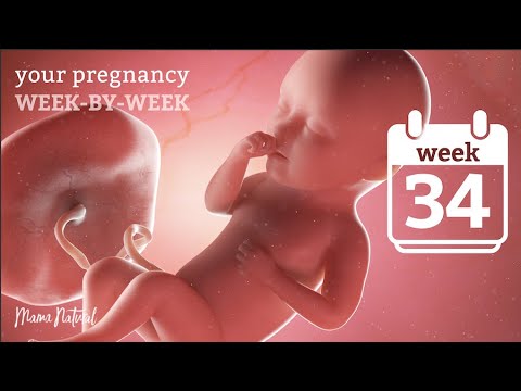 34 Weeks Pregnant - Natural Pregnancy Week-By-Week