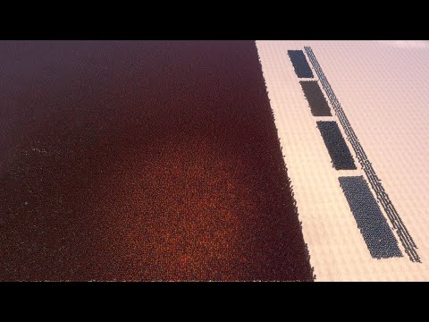 100.000 SPARTANS vs HEROES FACTION - Ultimate Epic Battle Simulator UEBS