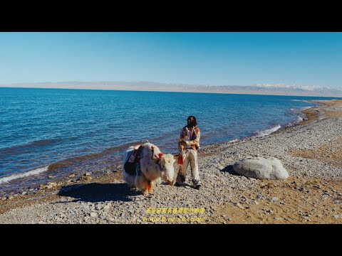 JNR CHOI - INDEPENDENT (Official Music Video)