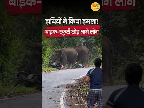 उत्तराखंड के कोटद्वार में हाथियों का आतंक, बाइक-स्कूटी सवारों पर किया हमला!