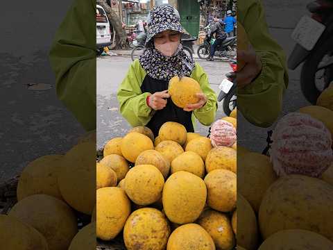 Must Try Pomelo! Tropical Fruit Cutting Skills