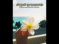 Serepein Me Masamwahu (Pohnpeian /Chuukese Version) #micronesia #pohnpei #chuuk