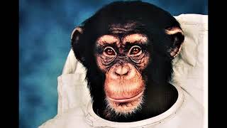 Dope Lemon - Hey You