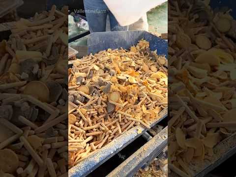 In China, what do people do with expired food? #expiredfood #shorts