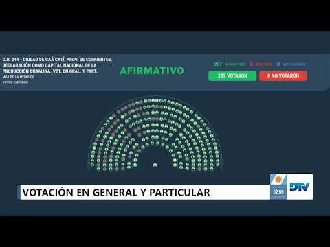 🟩 VOTACIÓN - Ciudad de Caá Catí, Declaración como Capital Nacional de la producción Bubalina - 