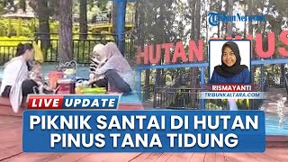 Sejuk dan Nyaman, Warga Tana Tidung Memilih Hutan Pinus Tideng Pale untuk Menghabiskan Liburan