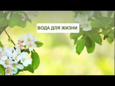 ДОКТОР ФЛЮРА О ВОДЕ ГИДРОПЛАЗМЕ