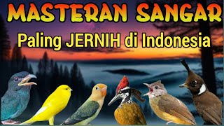 Download lagu MASTERAN MURAI FULL ISIAN SUARA JERNIH MATERI MEWAH JADIKAN MURAI JUARA mp3 Download lagu MASTERAN MURAI FULL ISIAN SUARA JERNIH MATERI MEWAH JADIKAN MURAI JUARA mp3