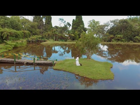 Mark Ngwazi-Chamugwegwedu (official video)NAXO Films 2021