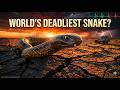The Inland Taipan: The World’s Deadliest Snake Explained! #detailedexplanation #venomous #snake