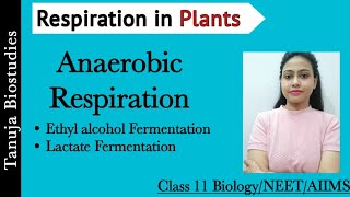 Respiration in Plants - Anaerobic Respiration | Ethyl alcohol & Lactate Fermentation | NEET/AIIMS