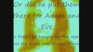 What If God Smoked Cannabis, with lyrics