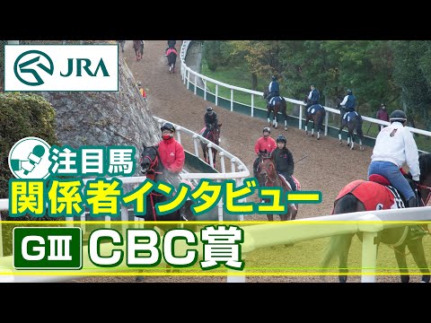【注目馬 関係者インタビュー】2025年 CBC賞｜JRA公式