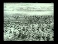 Der Weg Ins Dunkel Harun Yahya Deutsch