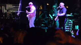 BANG FEST - The Buzzcocks - Love Turns Around You