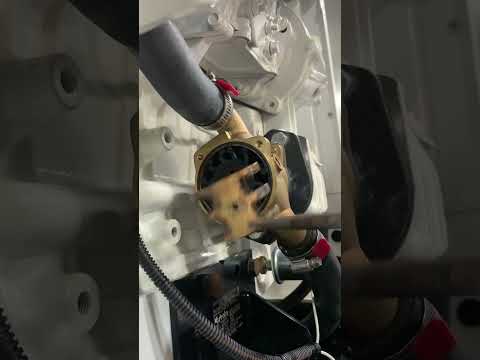 Impeller change on a Cummins Onan yacht generator.
