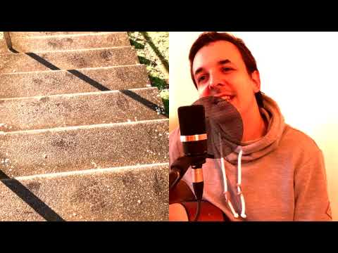 Falsche Richtung - Pascal Vogt