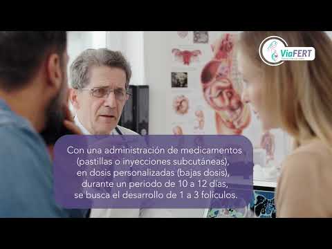 Comprehensive Guide to Timed Intercourse Fertility Treatment in Mexico