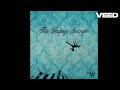 Iron Wine The Trapeze Swinger Lyric Video