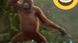 Download lagu Grup WA sepi mp3