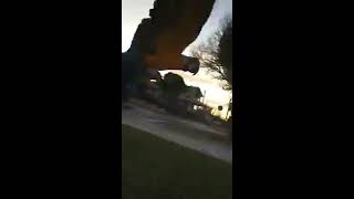 animale faza papagal