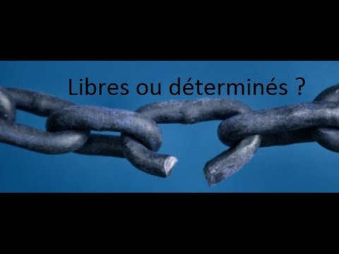 Liberté et déterminisme.