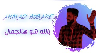 كلمات اغنية شو هالجمال احمد بوبكي