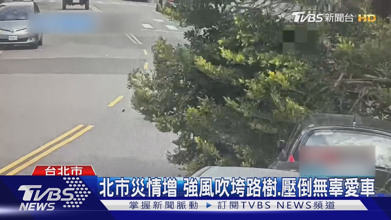 北市風雨增強「進行式」上午38件路樹倒塌
