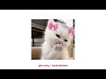 Pretty Little Baby A Playlist ୨ৎ