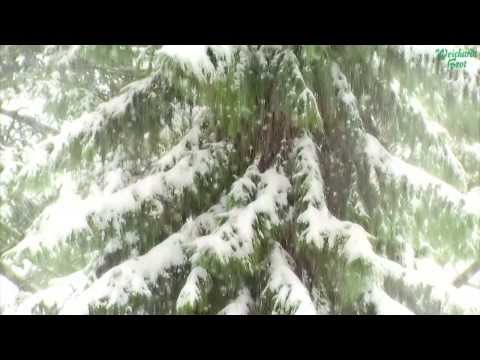 Weihnachten in der Bäckerei Weichardt